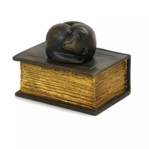 Bronze Cat Urn on Book Phoenix Pet Cremations